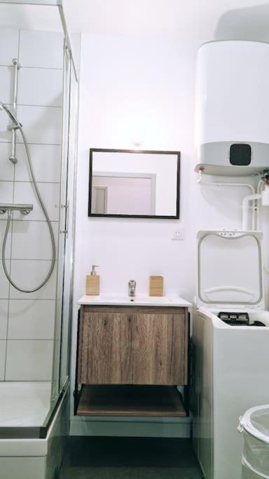 Le Cosy Central Moderne Et Chaleureux Saint-Etienne  Kültér fotó