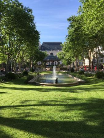 Le Cosy Central Moderne Et Chaleureux Saint-Etienne  Kültér fotó